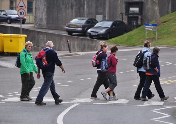 Exeter_,_Pedestrian_Crossing_-_geograph.org.uk_-_3146303